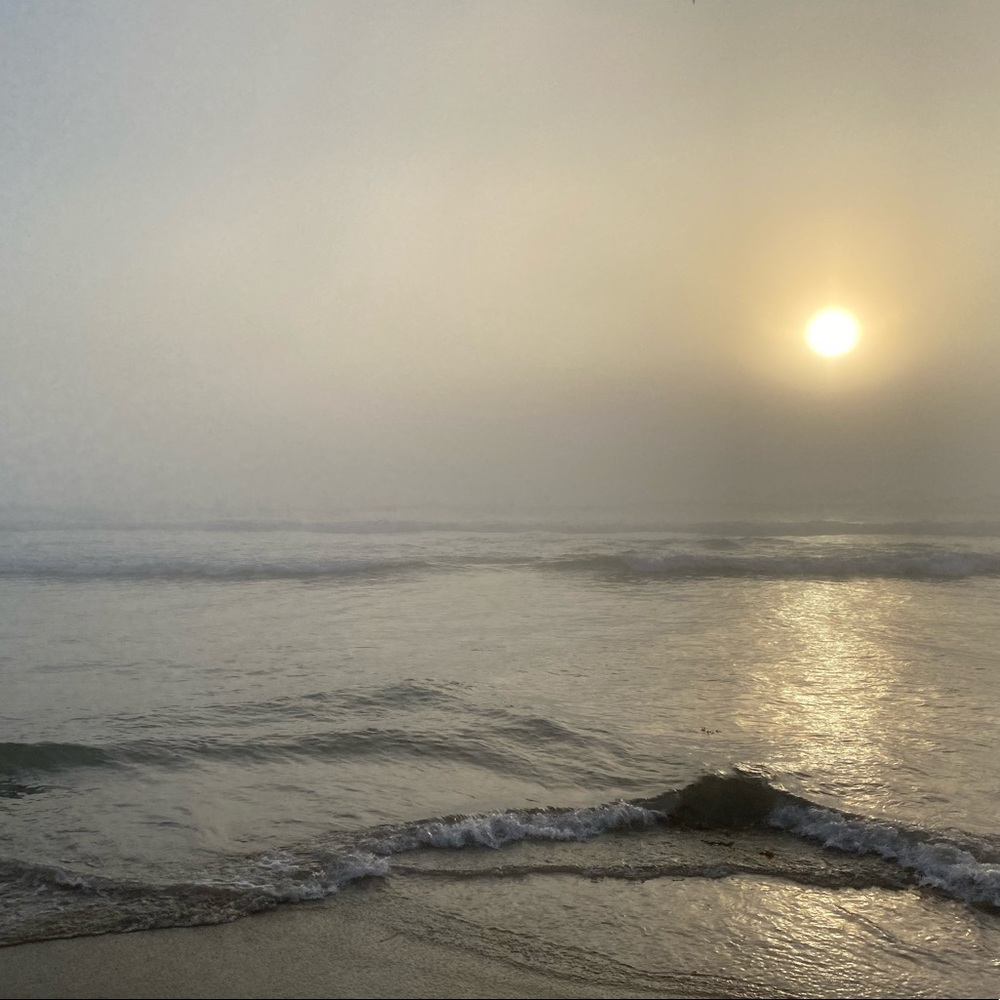 Meet your Posher, Britt